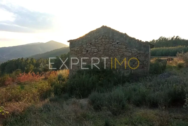 Quinta T4 para Venda em Gonçalo Foto 12