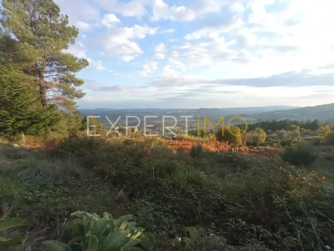 Quinta T4 para Venda em Gonçalo Foto 17