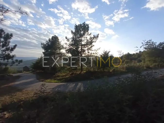 Quinta T4 para Venda em Gonçalo Foto 2