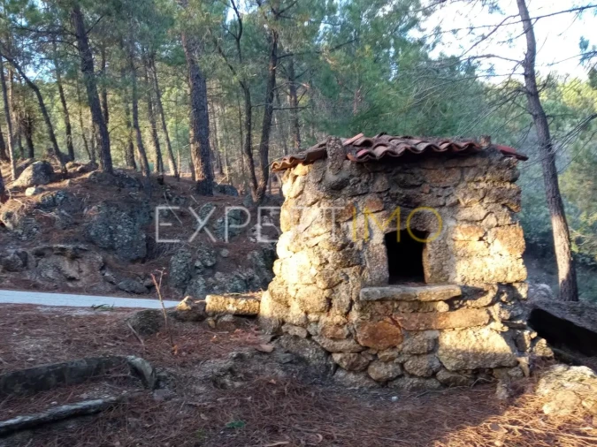 Quinta T4 para Venda em Gonçalo Foto 23