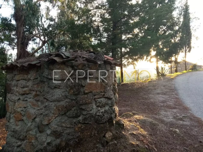 Quinta T4 para Venda em Gonçalo Foto 3