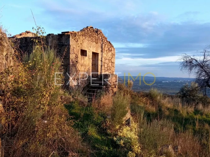 Quinta T4 para Venda em Gonçalo Foto 8