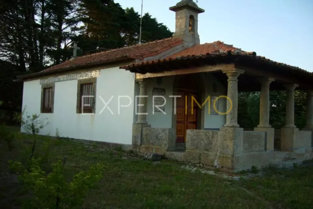 Negócio para Venda em Abrunhosa-A-Velha Foto 13