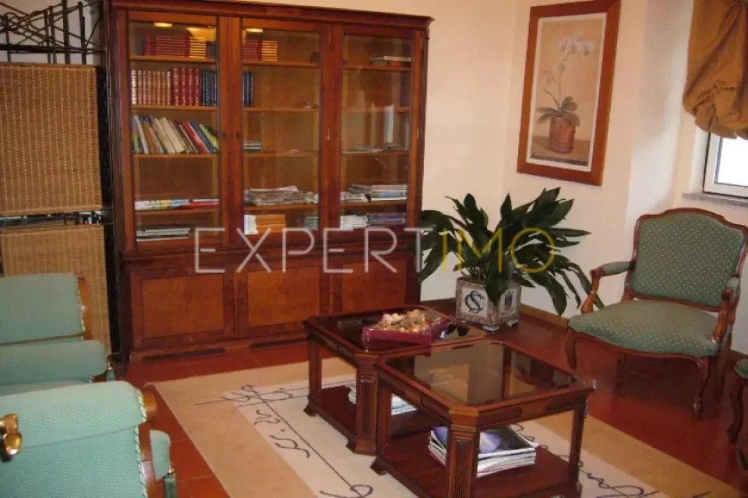 Negócio para Venda em Abrunhosa-A-Velha Foto 16