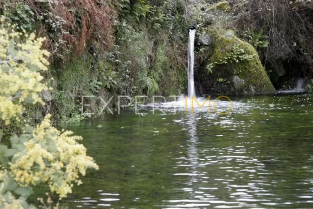 Negócio para Venda em Abrunhosa-A-Velha Foto 18