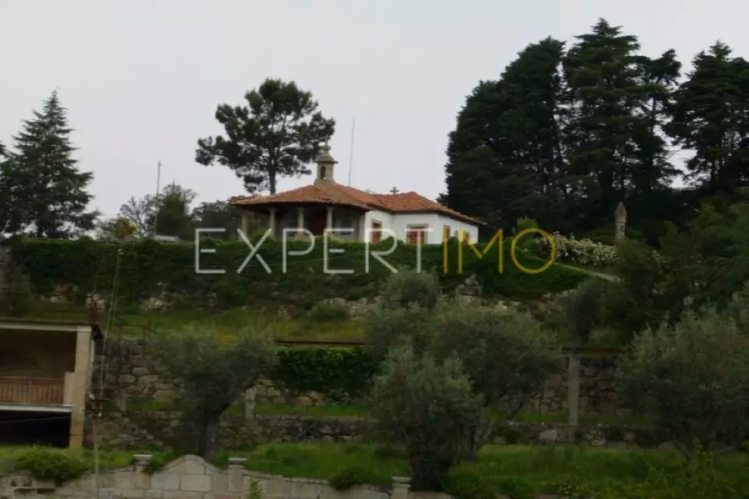 Negócio para Venda em Abrunhosa-A-Velha Foto 24