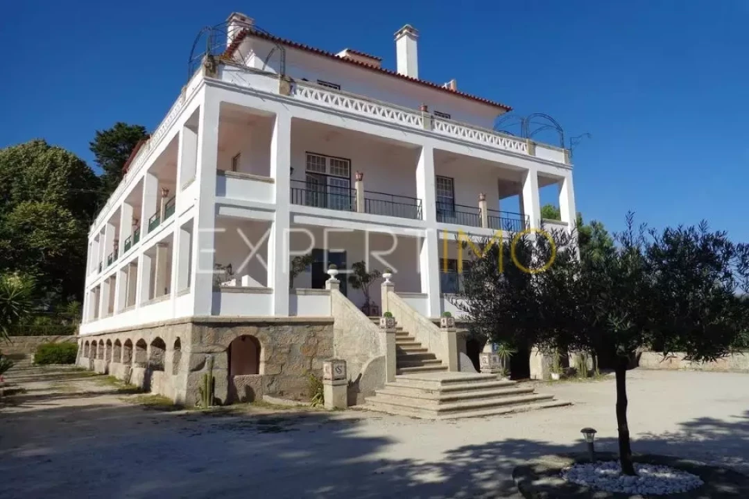 Negócio para Venda em Abrunhosa-A-Velha Foto 5