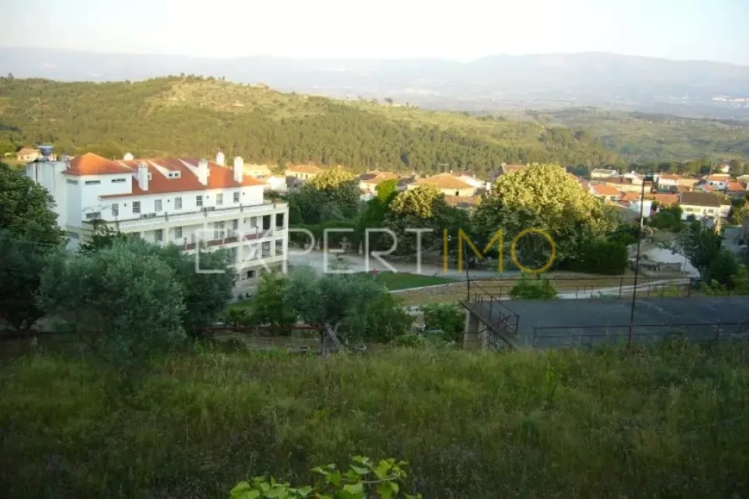 Negócio para Venda em Abrunhosa-A-Velha Foto 7