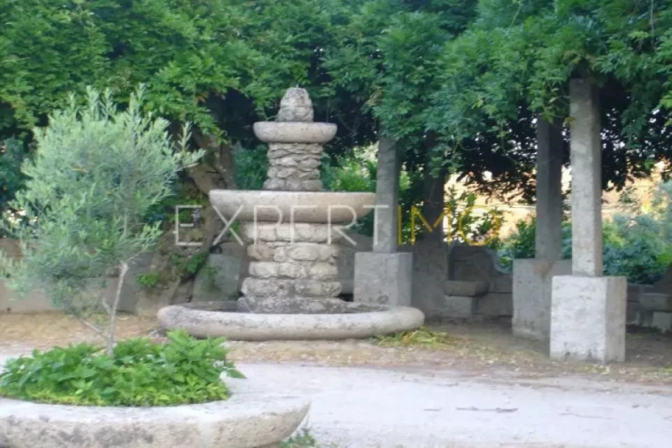 Negócio para Venda em Abrunhosa-A-Velha Foto 11