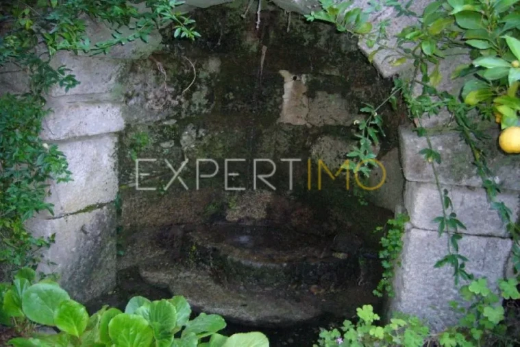 Negócio para Venda em Abrunhosa-A-Velha Foto 12