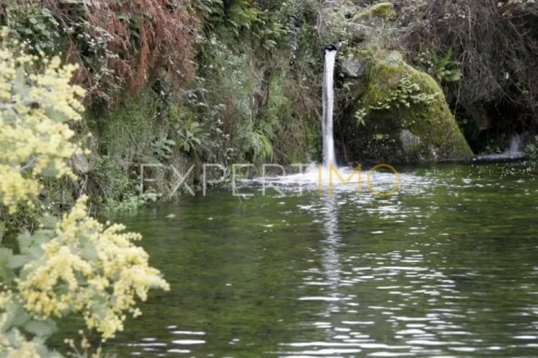 Negócio para Venda em Abrunhosa-A-Velha Foto 18