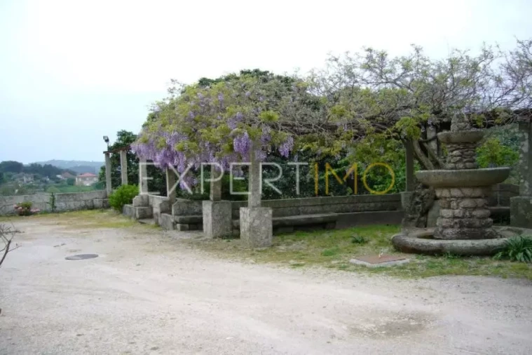 Negócio para Venda em Abrunhosa-A-Velha Foto 23