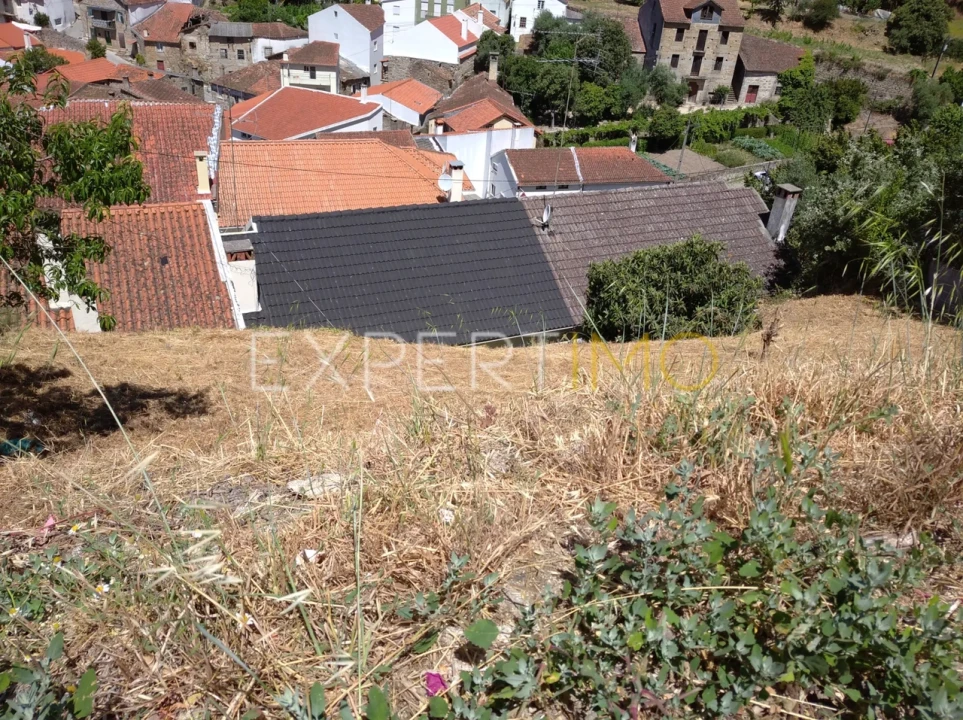 Terreno para Venda em Famalicão Foto 5