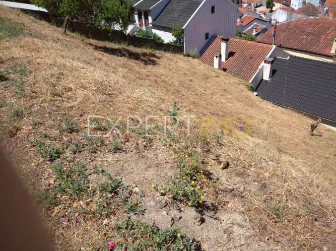 Terreno para Venda em Famalicão Foto 6