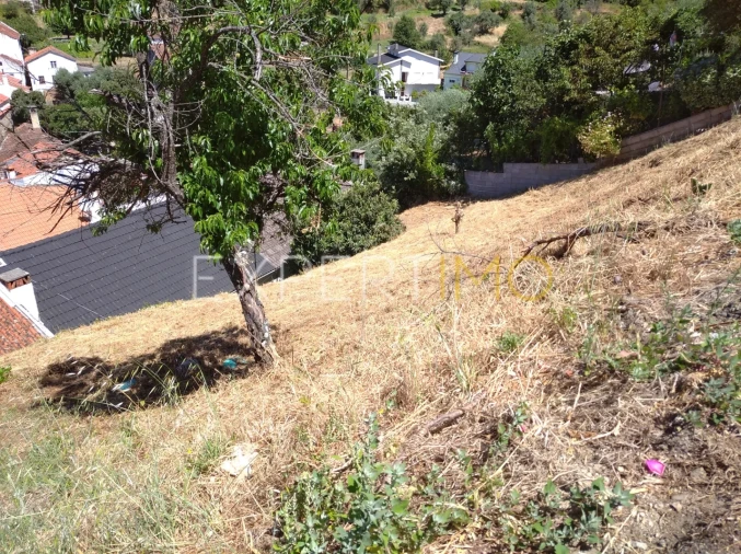 Terreno para Venda em Famalicão Foto 8