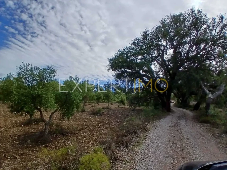 Moradia T3 para Venda em São Brás de Alportel Foto 23