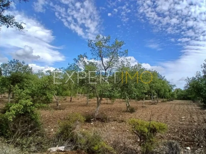 Moradia T3 para Venda em São Brás de Alportel Foto 22