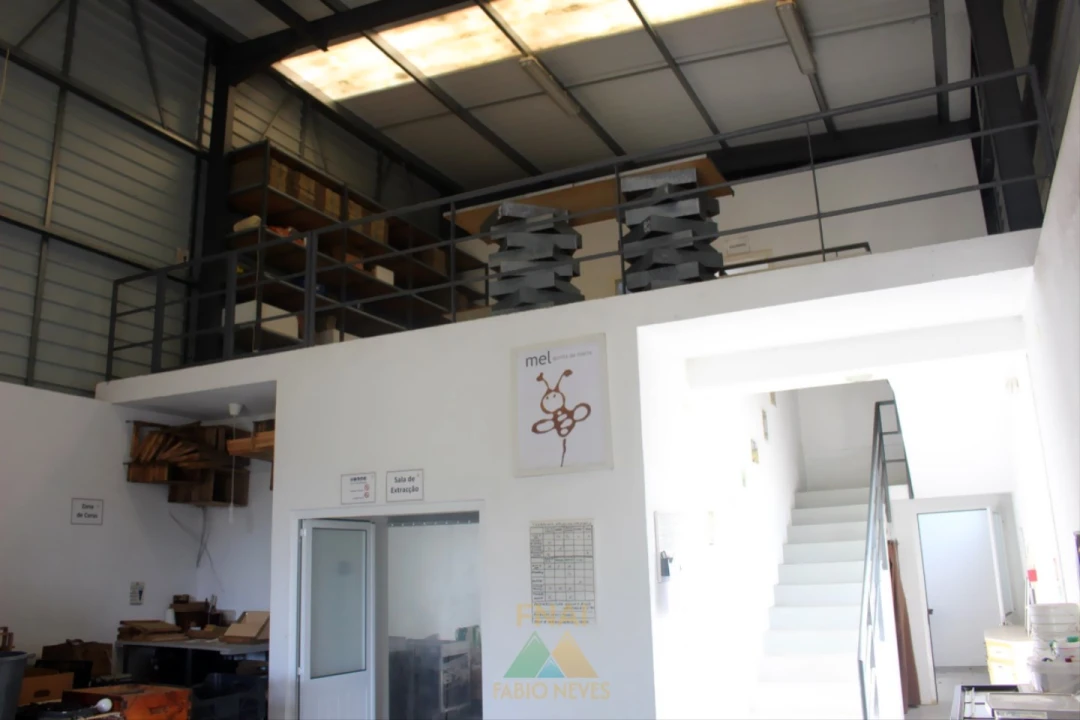 Armazém para Venda em Ossela Foto 6