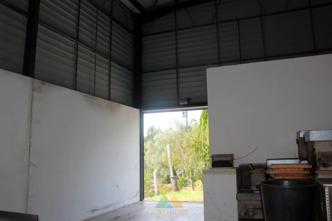 Armazém para Venda em Ossela Foto 7