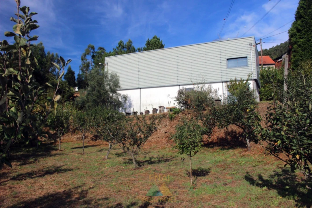 Armazém para Venda em Ossela Foto 24