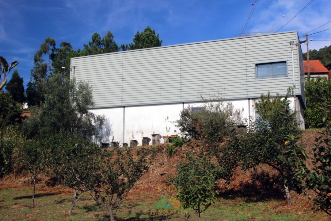 Armazém para Venda em Ossela Foto 25