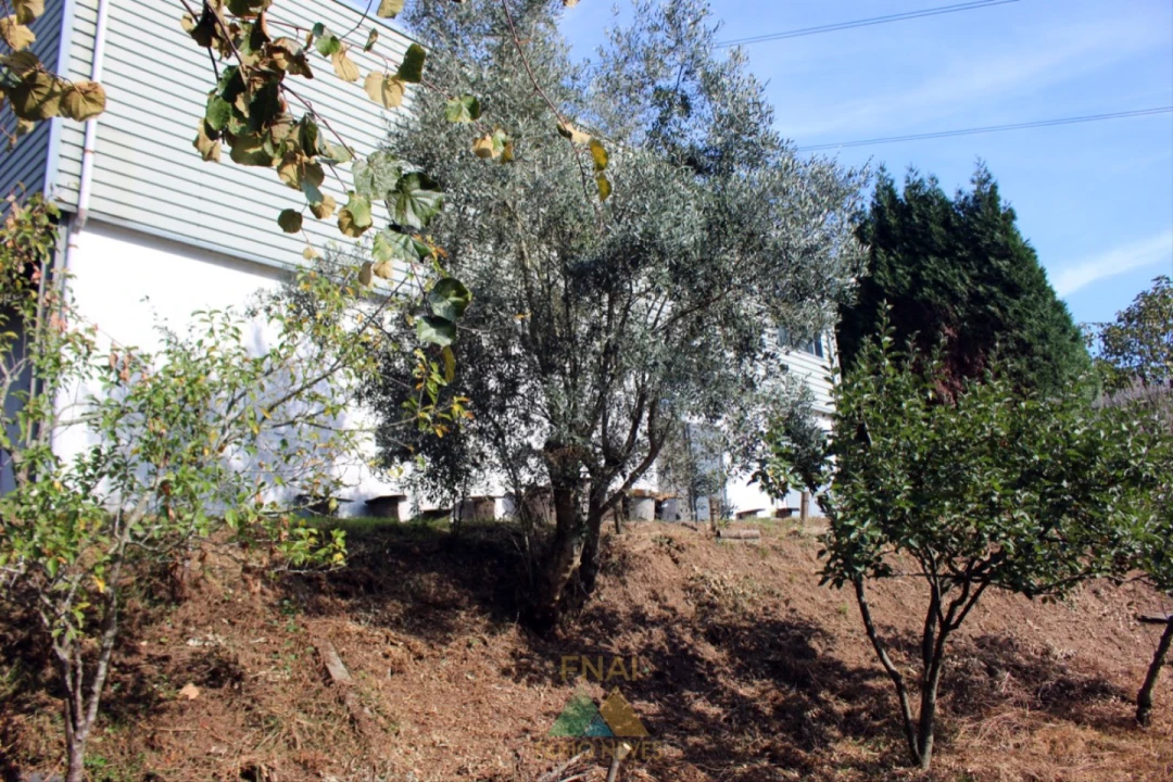 Armazém para Venda em Ossela Foto 26