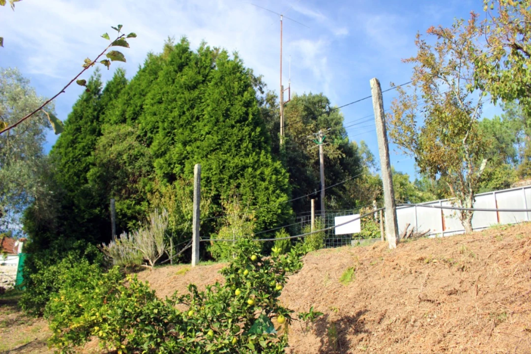Armazém para Venda em Ossela Foto 28