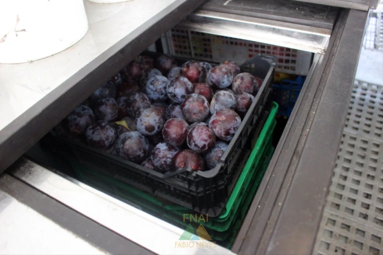 Armazém para Venda em Ossela Foto 12