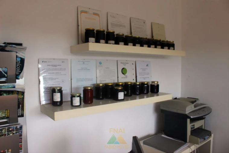 Armazém para Venda em Ossela Foto 19