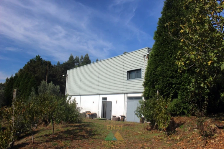 Armazém para Venda em Ossela Foto 23