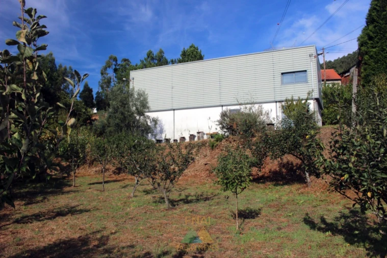 Armazém para Venda em Ossela Foto 24