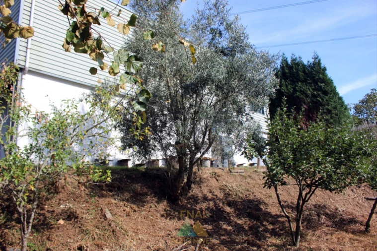 Armazém para Venda em Ossela Foto 26