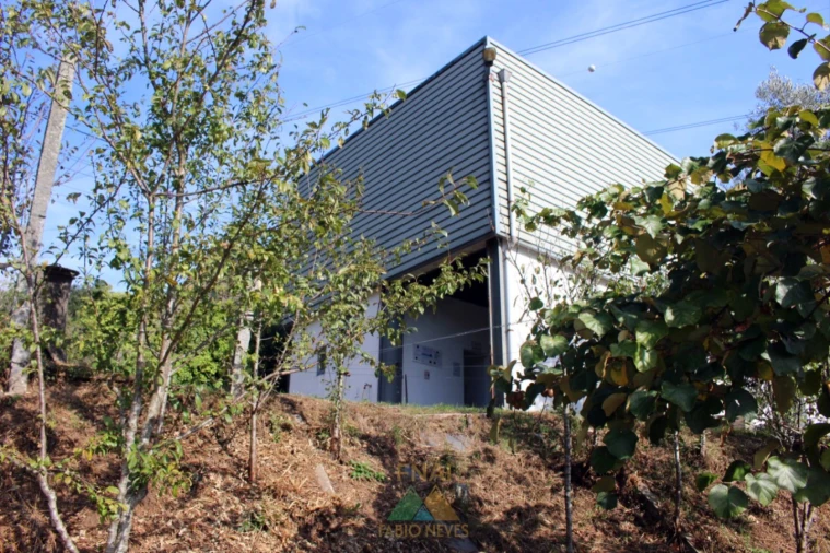 Armazém para Venda em Ossela Foto 27