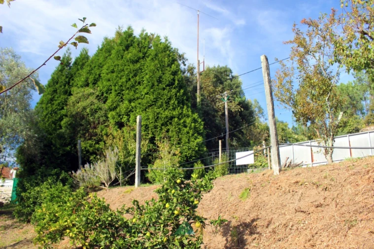 Armazém para Venda em Ossela Foto 28