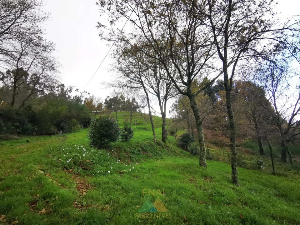 Moradia T2 para Venda em Gondufe Foto 17