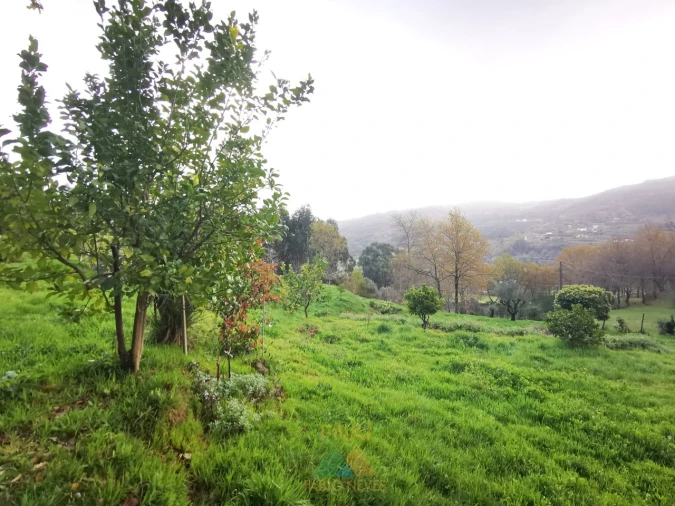 Moradia T2 para Venda em Gondufe Foto 16