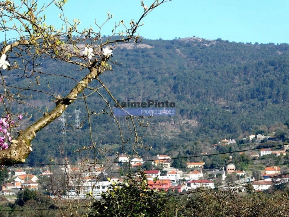 Terreno P/ Prédio para Venda em Barroselas e Carvoeiro Foto 6