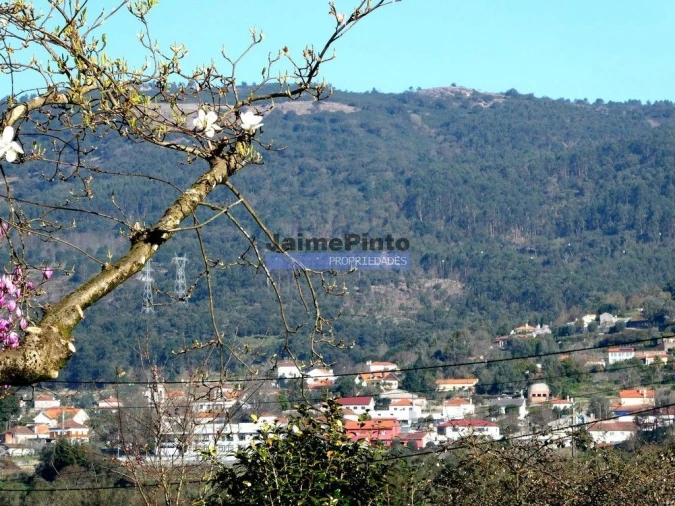 Terreno P/ Prédio para Venda em Barroselas e Carvoeiro Foto 6