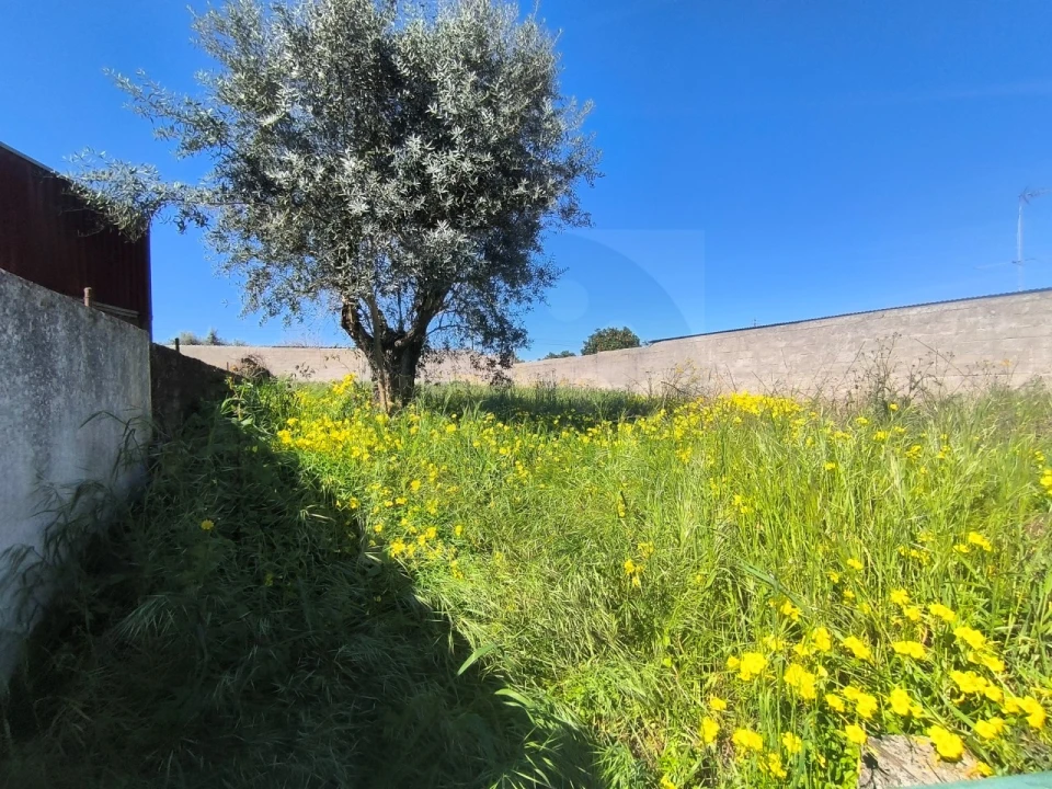 Terreno para Venda em Tramagal Foto 2