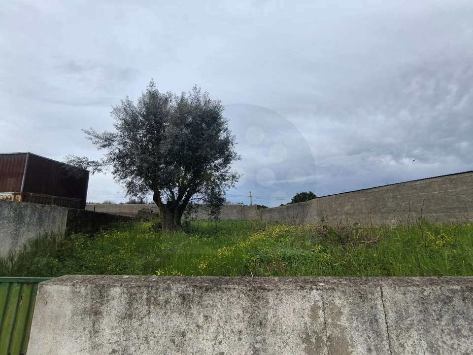 Terreno para Venda em Tramagal Foto 4