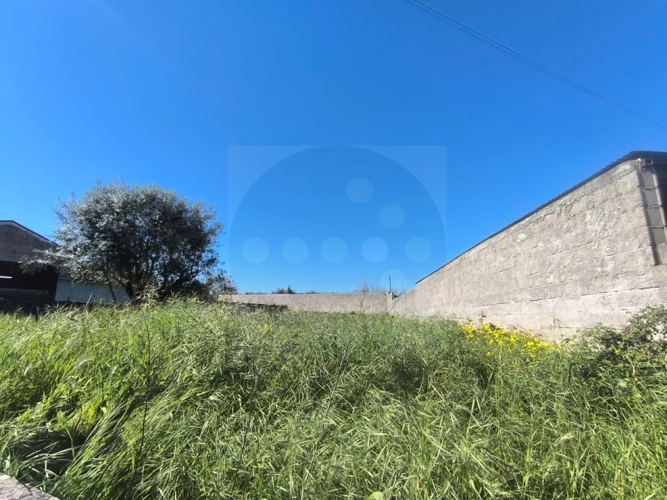 Terreno para Venda em Tramagal Foto 8