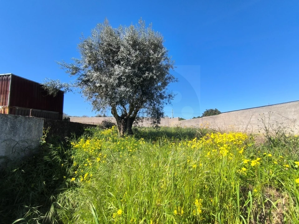 Terreno para Venda em Tramagal Foto 9