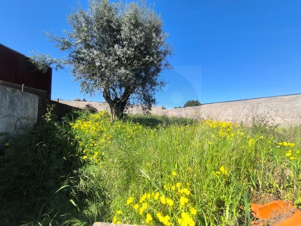 Terreno para Venda em Tramagal Foto 11