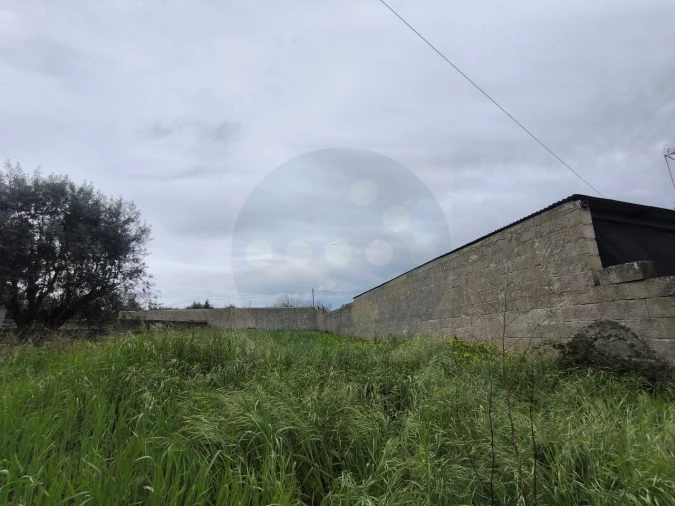 Terreno para Venda em Tramagal Foto 3