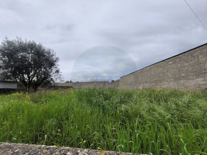 Terreno para Venda em Tramagal Foto 5