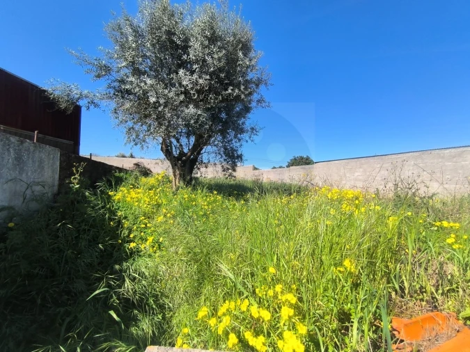 Terreno para Venda em Tramagal Foto 11