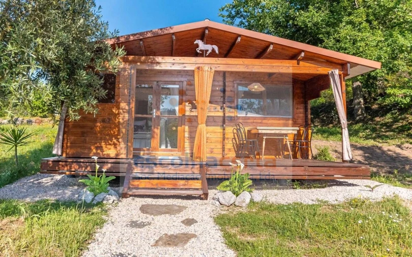 Quinta T10 para Venda em Povoa de Midões Foto 22