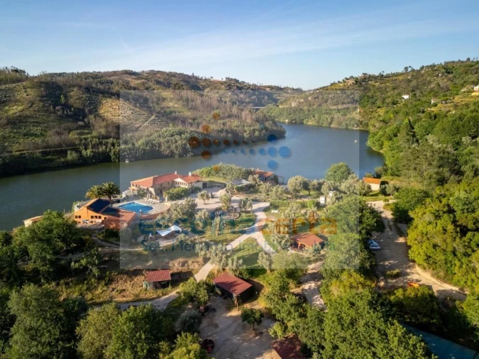 Quinta T10 para Venda em Povoa de Midões Foto 14