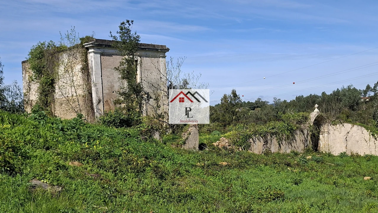 Terreno para Venda em Eiras e São Paulo de Frades Foto 6