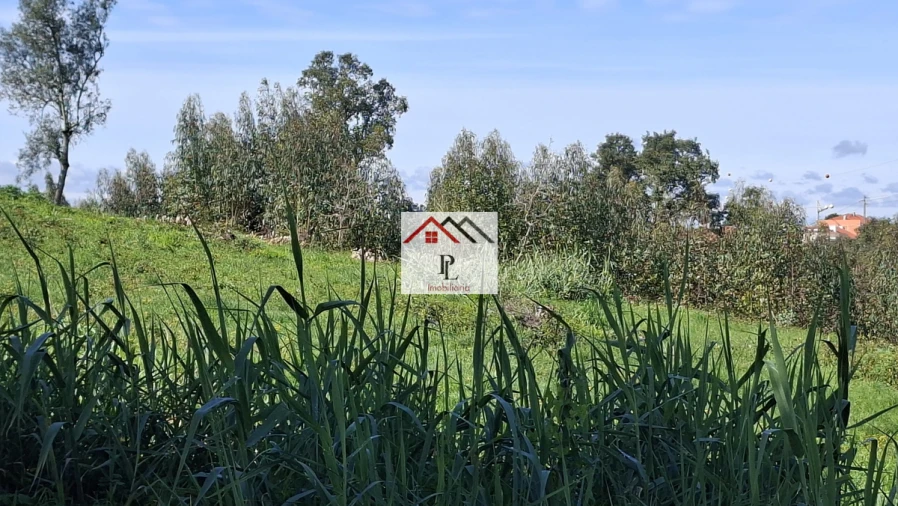 Terreno para Venda em Eiras e São Paulo de Frades Foto 3